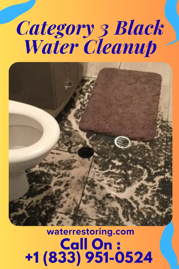Category 3 Black Water Cleanup in Butterfield Park, NM