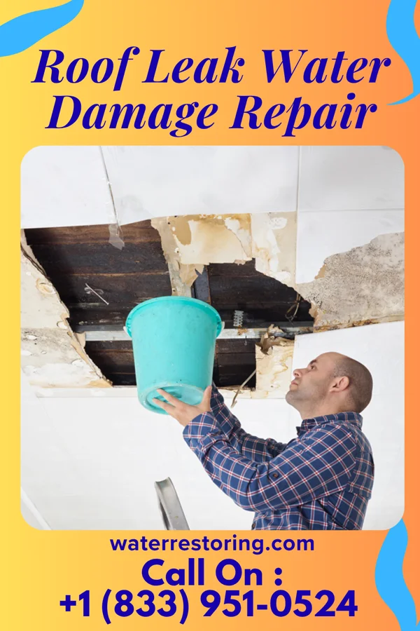 Roof Leak Water Damage Repair in Butterfield Park, NM